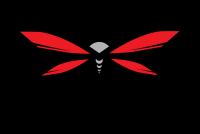 ważka DinkS - logo zespołu Dinks